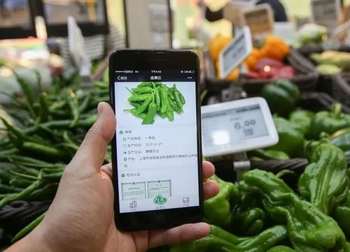 為什么要農產品溯源？一文為你解答智能農業管理