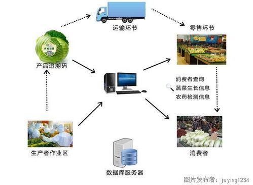 農(nóng)業(yè)物聯(lián)網(wǎng)的功能及應用 開啟智能農(nóng)業(yè)管理新時代