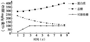 智能溫室的現(xiàn)代化無土栽培技術 高效生產之道